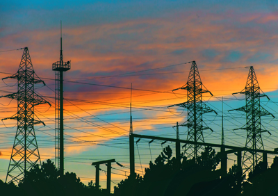 სოფელი, სადაც სახლში ძაღლების მაგივრად წეროები ჰყავთ Rating